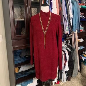 Express Sweater Dress